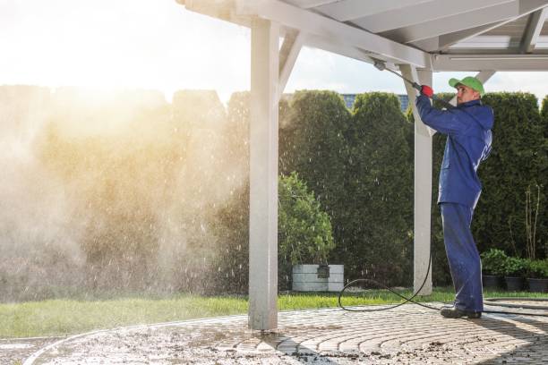 Best Solar Panel Cleaning  in Arcadia, FL