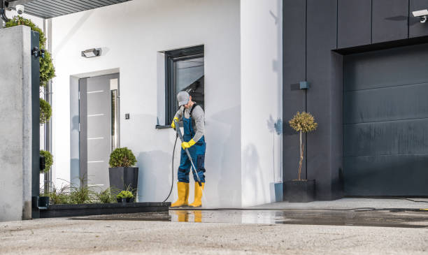 Best Spring Cleaning  in Arcadia, FL